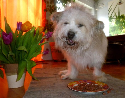 ...alles Gute, liebe alte Maus zu deinem Geburtstag!