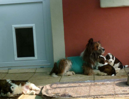 ...Mama ganz enspannt, 