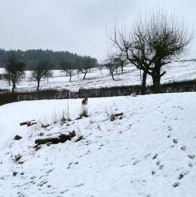 Endlich ein wenig Schnee...