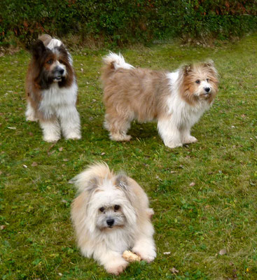 Kommt sie jetzt??? Ja, Pookies Schwester Philina-Lilly kommt mit Christine und Christian.