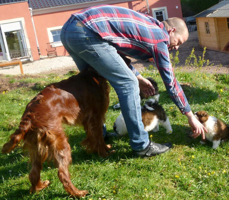 22.04. Besuch für ein R-chen und Setter Ginger ist auch da.