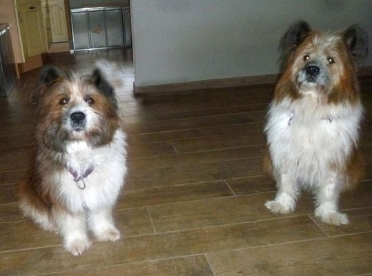 Candys Tochter und O-Sambas Schwester Oralie-Lilly ist zu Besuch...