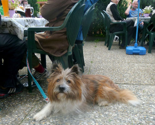 Oralie-Lilly von Werths Echte