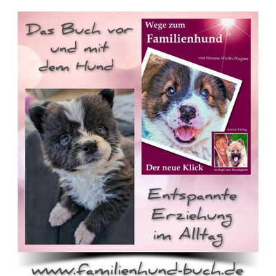 Welpenschule