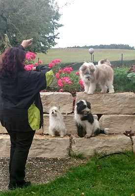 Familienhund groß und klein
