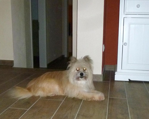 Lolli in Pose.