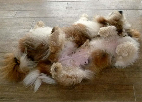 ...und schmusen.