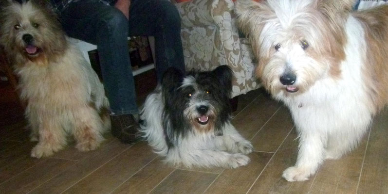 O-Sambas Schwester Oh-Donna hat uns besucht.