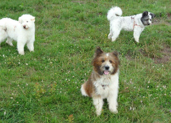 Candy mit Dipsy und ihrer Tochter Pulcinea-Pepsi.