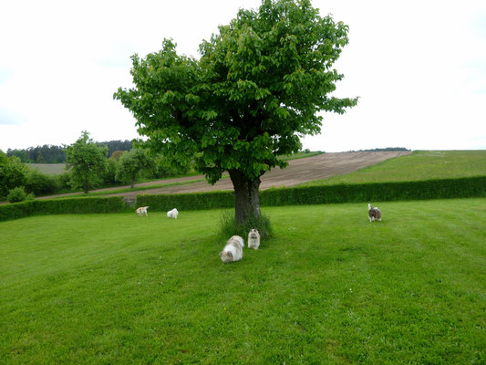 ...nach Oberdombach bei Ansbach, unser baldiges "Eloland".
