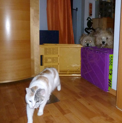 ...okay, ich schleich mich mal an.
