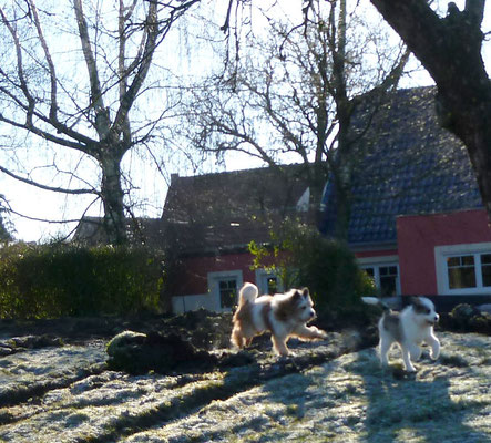 Los, noch ne Runde, Pookie...