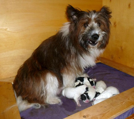 ...jooo, sind noch alle da :-)