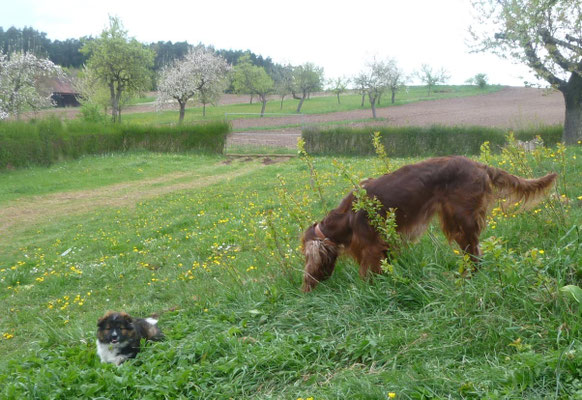 ...die beiden sind ein gutes Team.