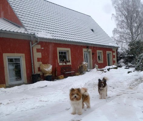 Weiter geht es im Schnee....
