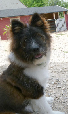 Oooh, und dann hat uns im Juli Q7-Thorin besucht...