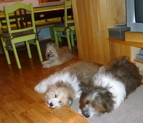 Wieder zuhause - Erholung von dem schönen Trip - vielen Dank an Gisela und "TiMüWi".