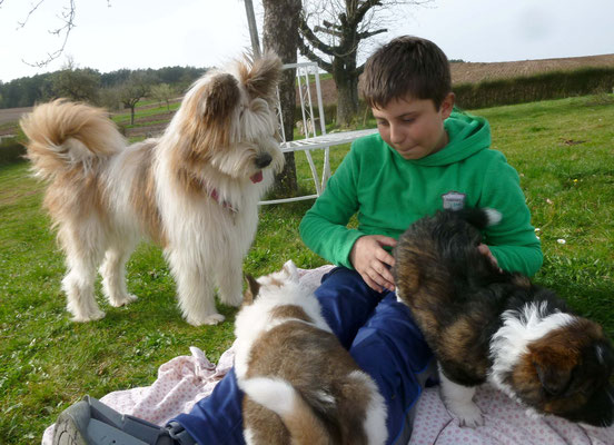 So, hier sind nun Qinoah-Pepper und Q7-Thorin.