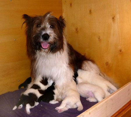 Die stolze Mama.