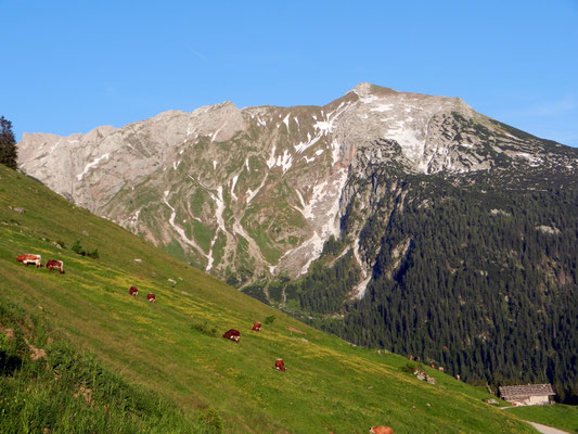 Kammerlingalm