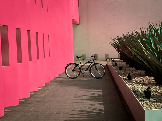 bike-tour-polanco-5
