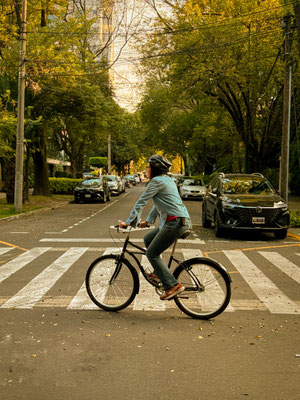 bike-tour-polanco-2