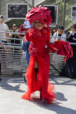 HAT WALK AUSTRIA 2025 - World Hat Walk / Foto: Foxi Micheler