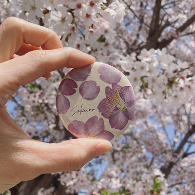 押し花缶バッジセミオーダー - 押し花缶バッジRe:flower