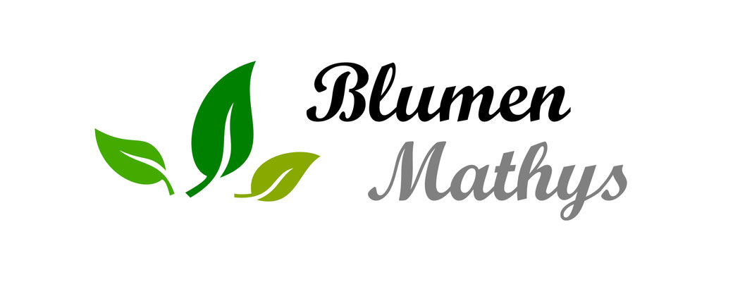 Blumen Mathys, Dorfstrasse 6, 3703 Aeschi