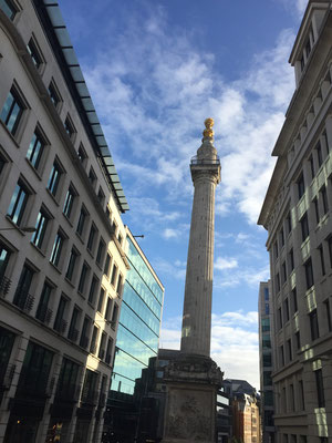  The Monument to the Great Fire