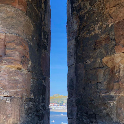 Conwy Castle