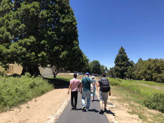 Samstagsausflug zum Palomar Mountain & Observatory