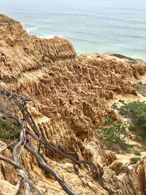 Wanderung im Torrey Pines State Park