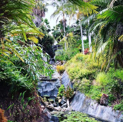 Little Hawaii...Pflanzen stimmen, Wasserfall passt....Temperaturen nicht, es ist 16 Grad!