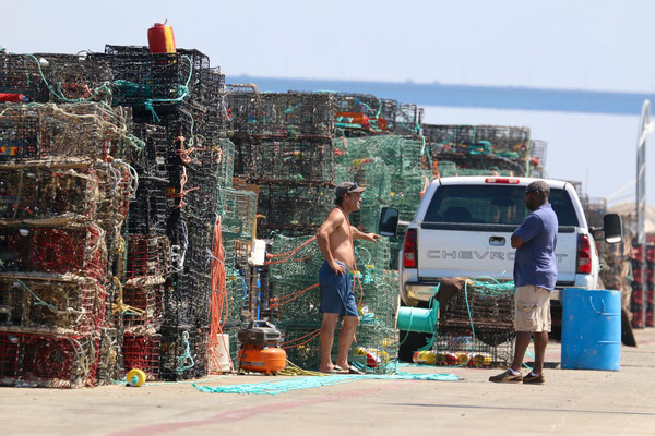 Lobsterfischer bei der Arbeit an Land