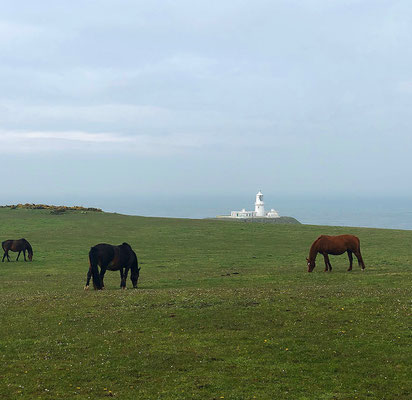 Strumble Light House