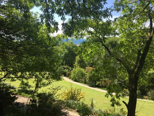 Tremenheere Sculpture Gardens
