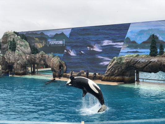 Sea World