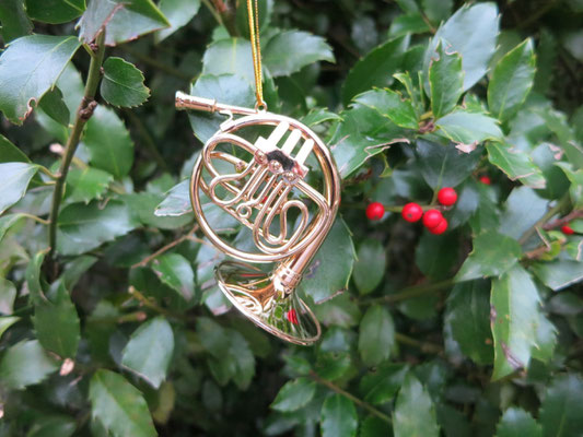 Mini Horn aus Messing vor grünem Ilex.