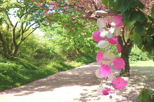 Handgefertigtes Capiz Windspiel in pink und weiß an blühender Zierkirsche im Park fotografiert.