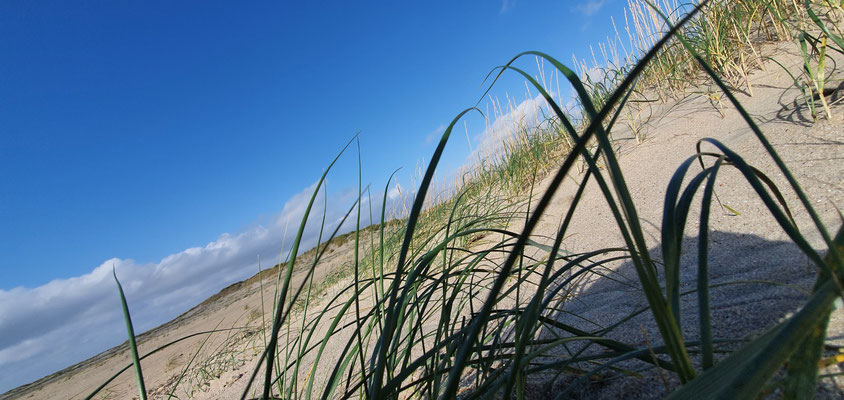 Sommertag am Nordseestrand.