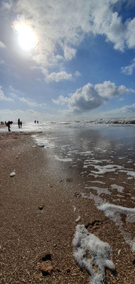 Wir sammeln Muscheln und Treibholz am dänischen Nordseestrand.