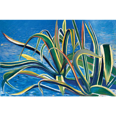 Foiso Fois, Agavi, 1981