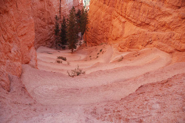 Bryce Canyon - Navajo Trail
