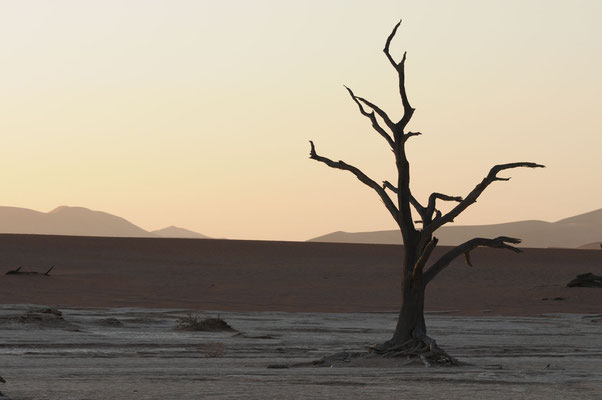 Namib Naukluft Park - Dead Vlei