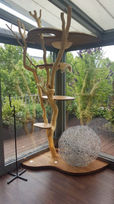 extravaganter Naturkratzbaum