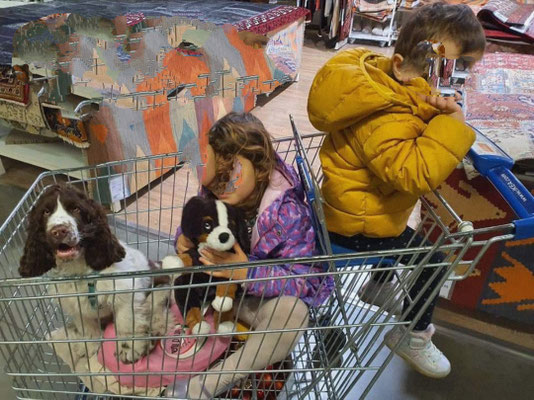 Al supermercato, tutti nel carrello