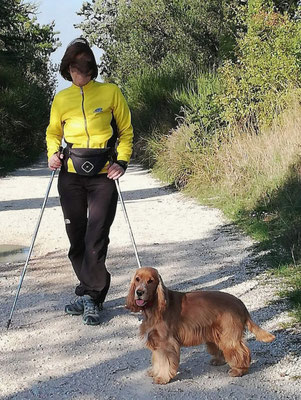 Una bella passeggiata in alta montagna alla scoperta dei boschi