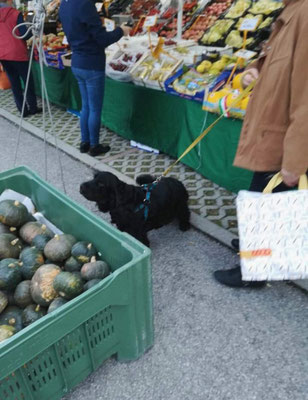 Al mercato