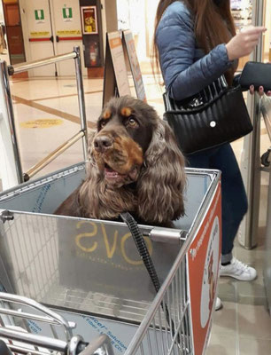 Shopping che passione